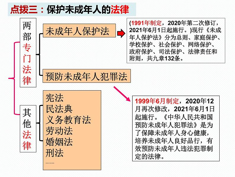 10.1法律为我们护航课件-2021-2022学年部编版道德与法治七年级下册08