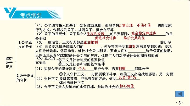 中考道德与法治总复习八年级下册第四单元-第八课PPT课件第4页