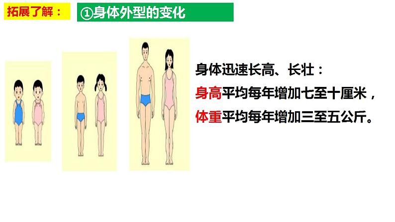 1.1悄悄变化的我课件-2021-2022学年部编版道德与法治七年级下册第5页