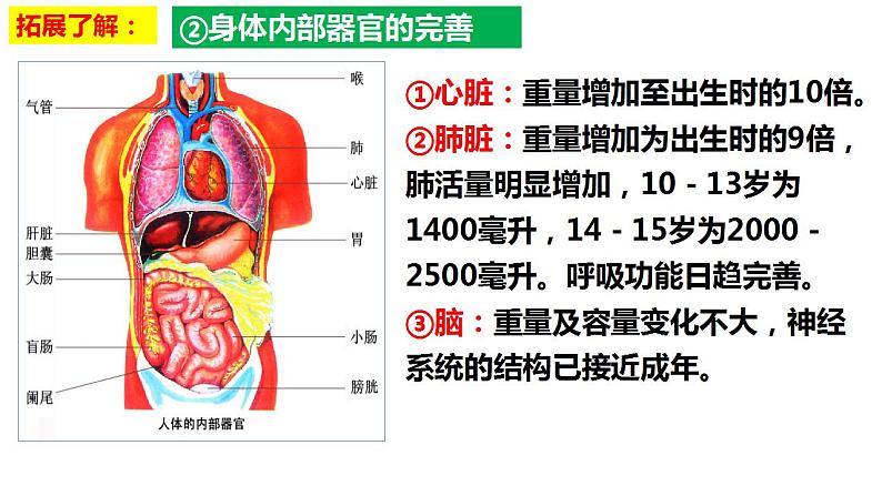 1.1悄悄变化的我课件-2021-2022学年部编版道德与法治七年级下册第6页