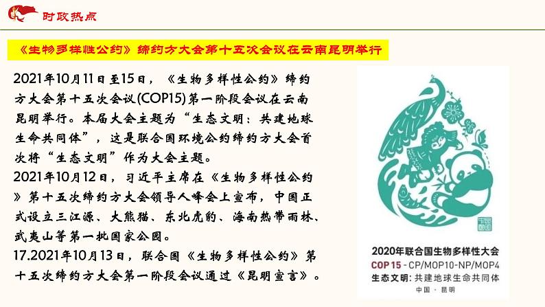 2021-2022 统编版九年级下册 4.2携手促发展_ 课件 （35张）1第3页