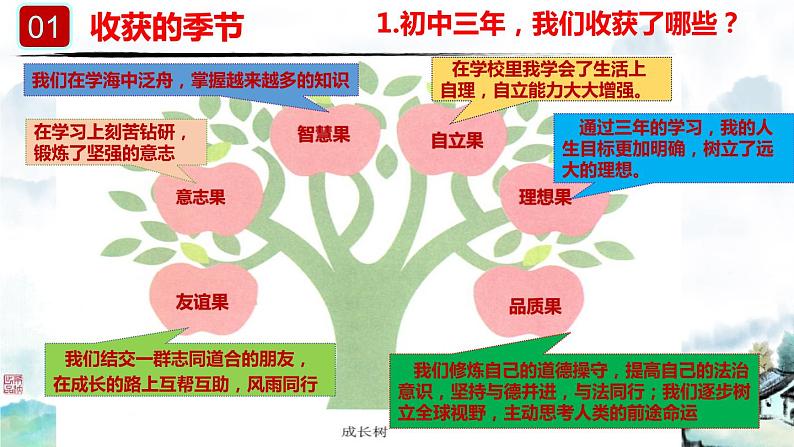 2021-2022 统编版九年级下册 7.1 回望成长课件 课件 （26张）第7页