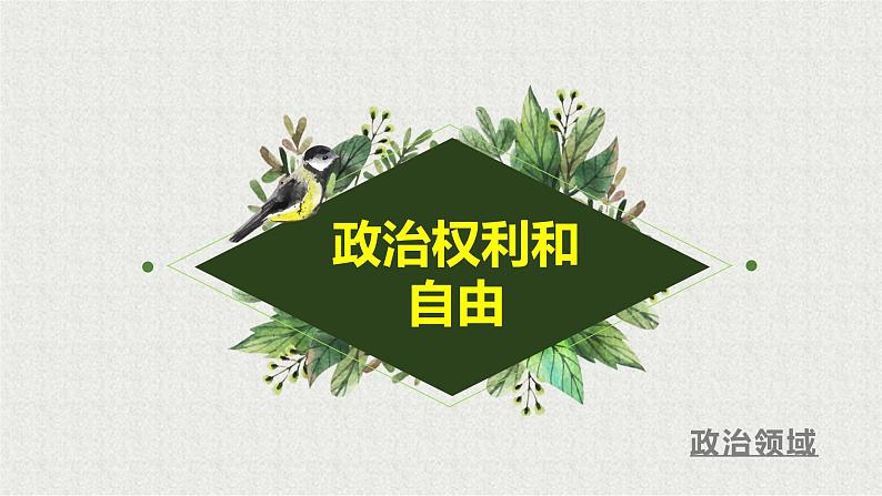 2021-2022学年统编版 八年级下册 3.1公民基本权利  课件（39张）第7页