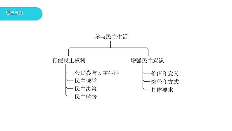 第三课追求民主价值复习课件-2021-2022学年部编版道德与法治九年级上册第3页