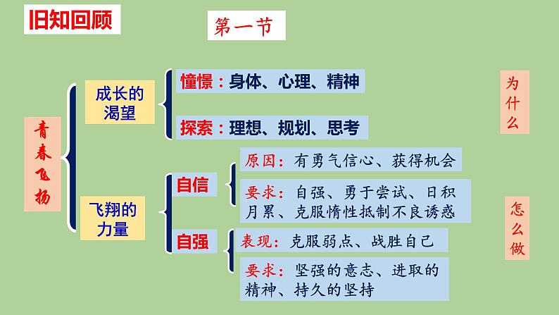 第三课青春的证明练习课件部编版道德与法治七年级下册02