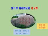 第三課青春的證明練習(xí)課件2021-2022學(xué)年部編版道德與法治七年級(jí)下冊(cè)