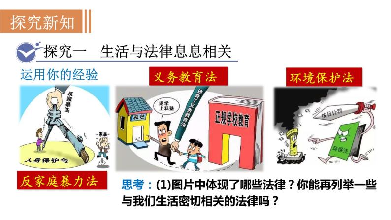 人教部编版七年级下册生活需要法律图片课件ppt