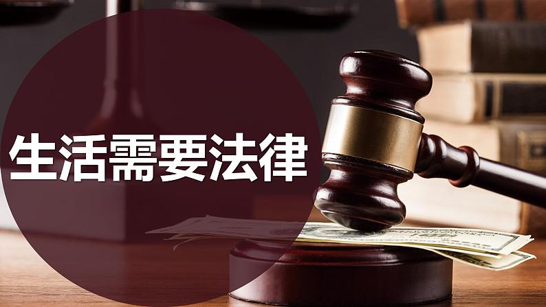 9.1生活需要法律课件2021-2022学年部编版道德与法治七年级下册第3页