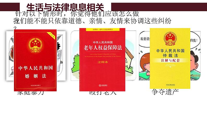 9.1生活需要法律课件2021-2022学年部编版道德与法治七年级下册第5页