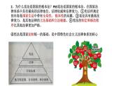 2022年中考道德与法治一轮复习课件：宪法专题