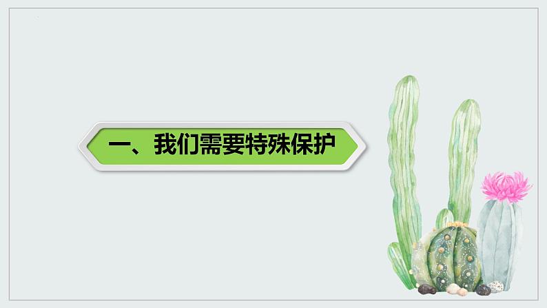 10.1法律为我们护航课件2021-2022学年部编版道德与法治七年级下册03