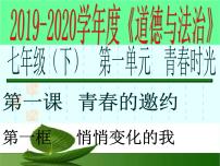 2021学年第一单元 青春时光第一课 青春的邀约悄悄变化的我教课内容课件ppt