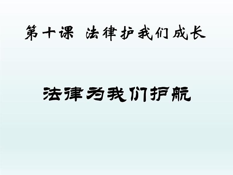 10.1 法律为我们护航课件PPT第3页