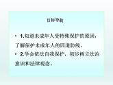 10.1 法律为我们护航课件PPT