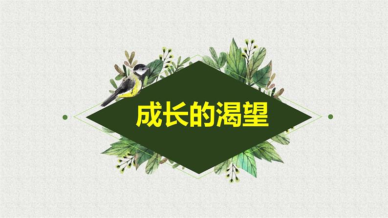 2021-2022学年道德与法治七年级下册  3.1青春飞扬  课件（25张）第8页