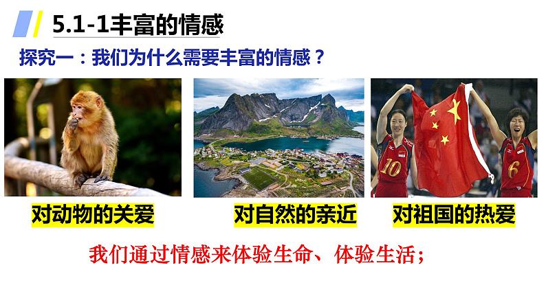 2021-2022学年道德与法治七年级下册  5.1我们的情感世界  课件（19张）第5页