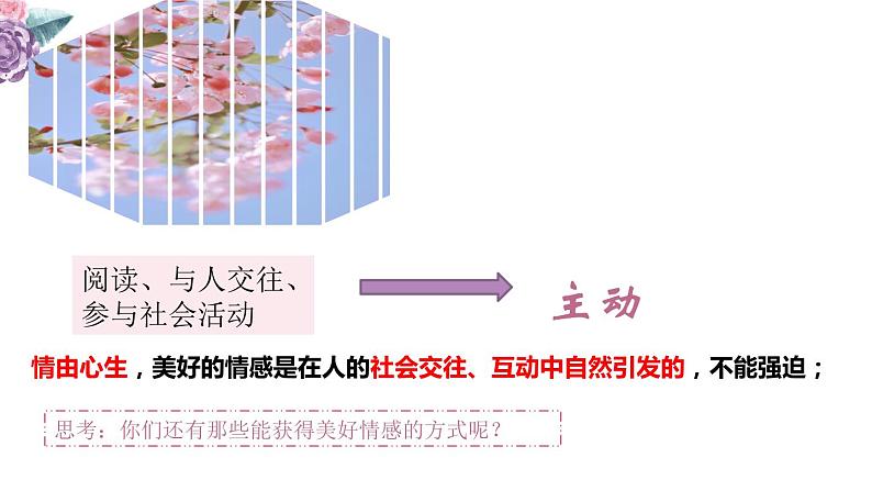 2021-2022学年道德与法治七年级下册  5.2在品味情感中成长  课件（23张）第8页