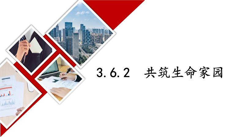 3.6.2 共筑生命家园第1页