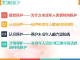 10.1法律为我们护航课件2021-2022学年部编版道德与法治七年级下册