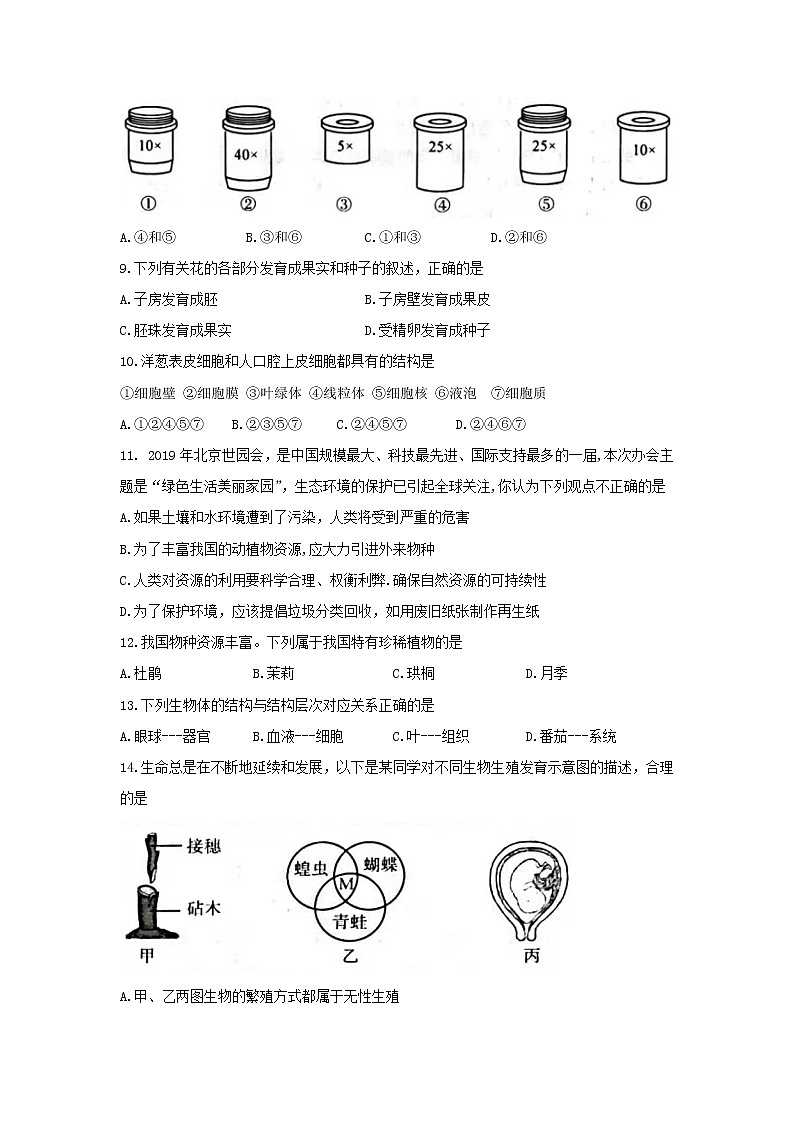2022年广西北部湾经济区初中学业水平考试模拟（一模）生物试题（一）（word版含答案）02
