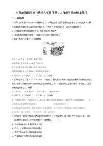 初中政治 (道德与法治)人教部编版八年级下册自由平等的追求一课一练