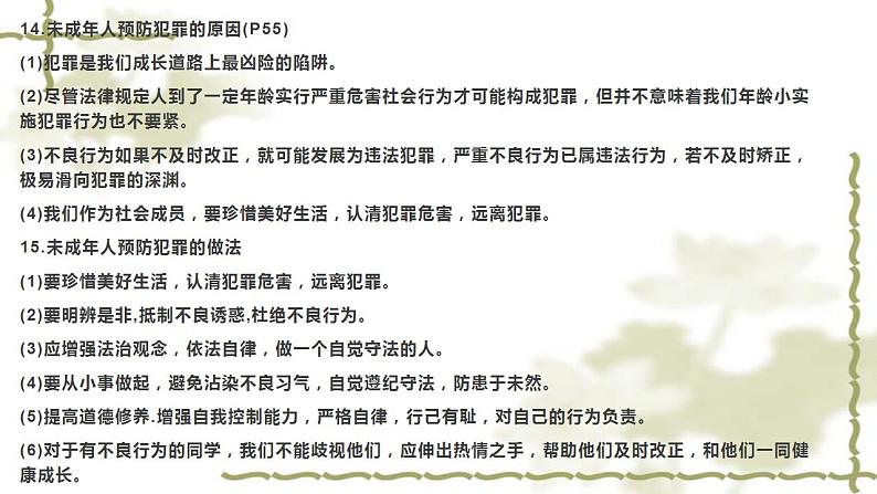 八年级上册第二单元遵守社会规则课件2022年中考道德与法治一轮复习第5页