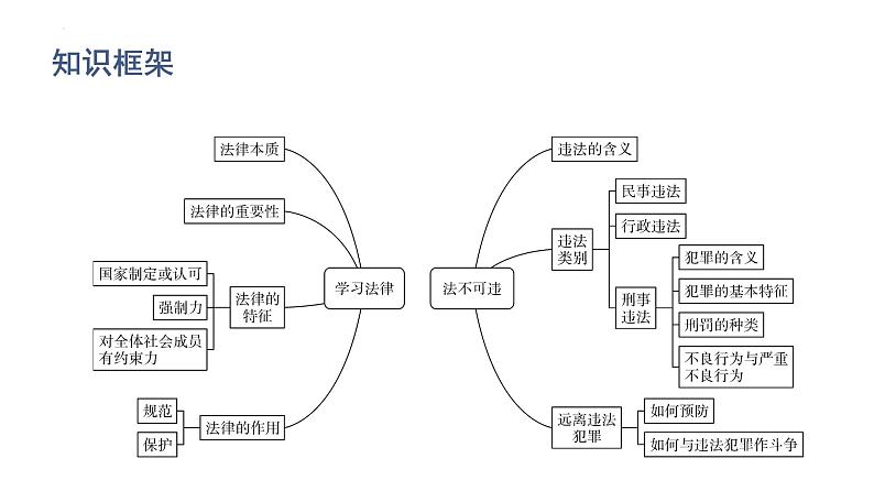 2022年广东省中考道德与法治一轮总复习学习法律法规远离违法犯罪课件第2页