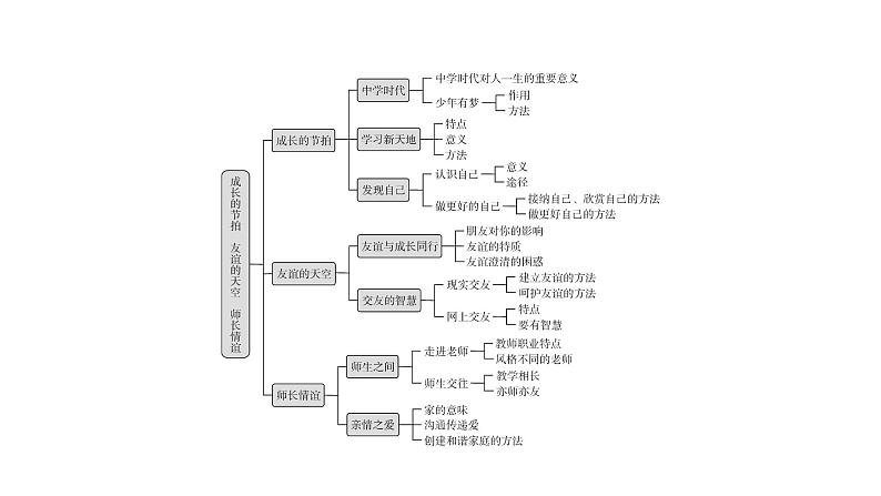 2022年广东省广州市中考道德与法治考点一轮复习课件专题一　学会正确交往　珍惜青春时光07