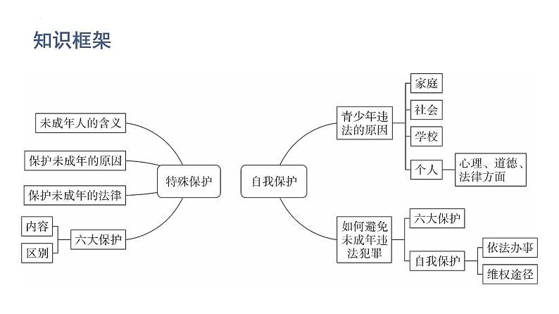 2022年广东省中考道德与法治一轮总复习加强特殊保护增强自我保护课件02