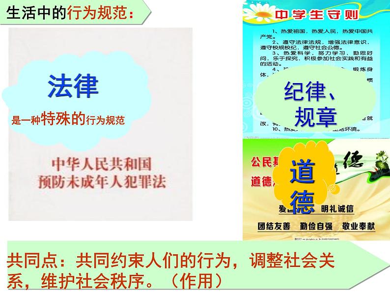 2021-2022学年统编版道德与法治七年级下册 9.2法律保障生活课件（35张）第7页