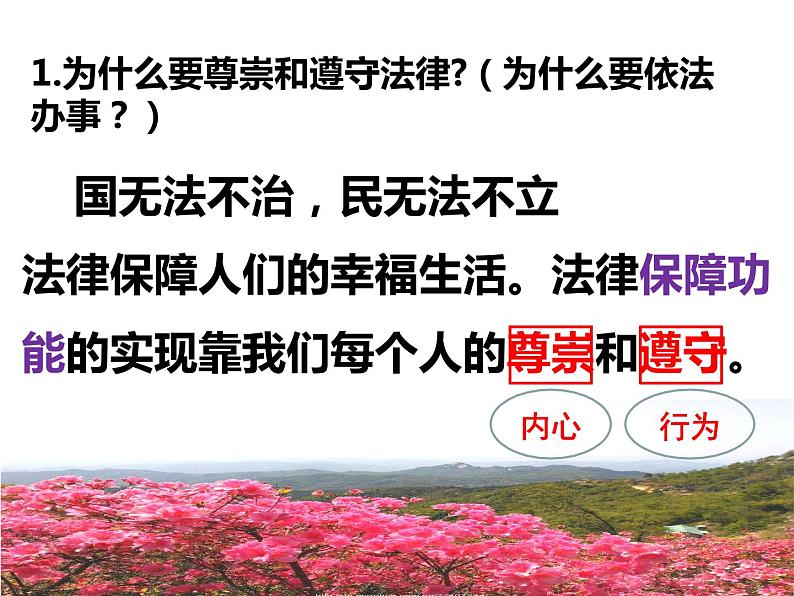 2021-2022学年统编版道德与法治七年级下册 10.2我们与法律同行课件（26张）第5页