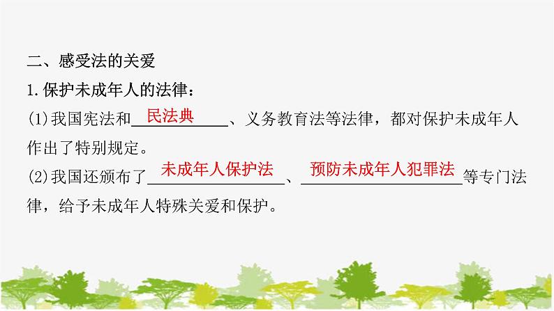 2021-2022学年统编版道德与法治七年级下册 10.1 法律为我们护航 学案课件 (28张)第7页