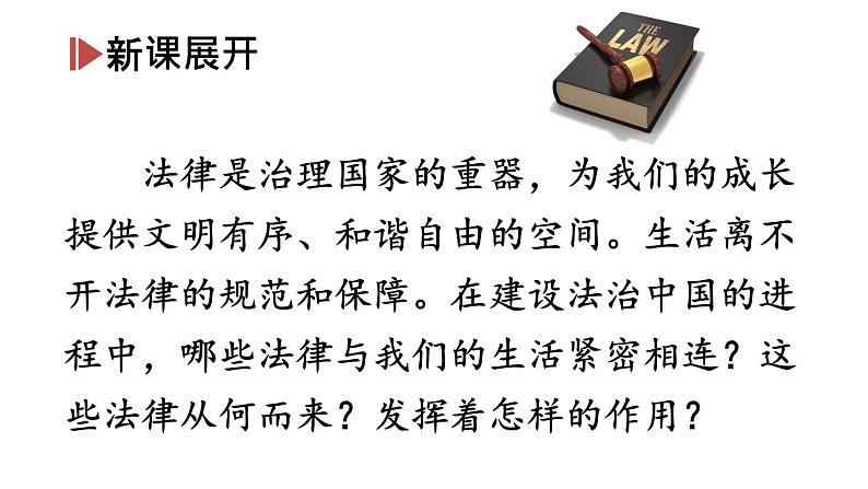 2021-2022学年统编版道德与法治七年级下册 9.2法律保障生活 课件（39张）02