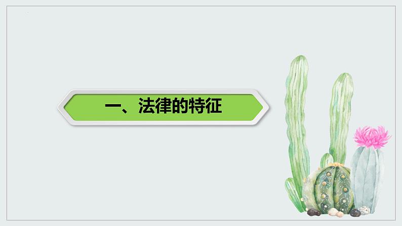 2021-2022学年统编版道德与法治七年级下册 9.2法律保障生活课件（33张）03