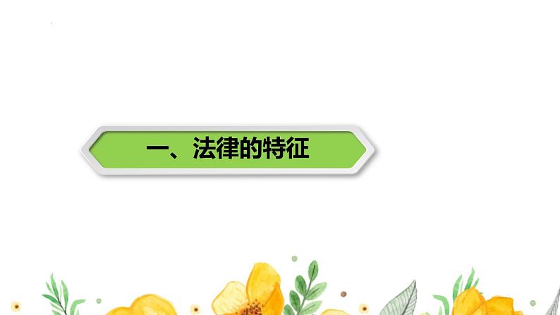 2021-2022学年统编版道德与法治七年级下册 9.2法律保障生活 教学课件（35张）第4页