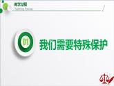 2021-2022学年统编版道德与法治七年级下册 10.1 法律为我们护航 课件（31张）