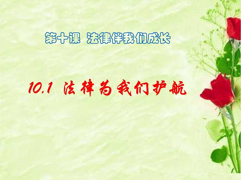 2021-2022学年统编版道德与法治七年级下册 10.1 法律为我们护航 课件（17张）第1页