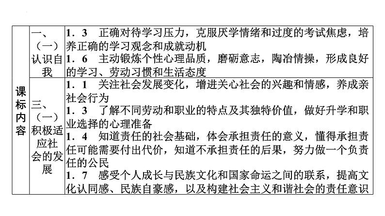 2022年广东省广州市中考道德与法治考点一轮复习课件专题九　我们共同的世界　走向未来的少年03