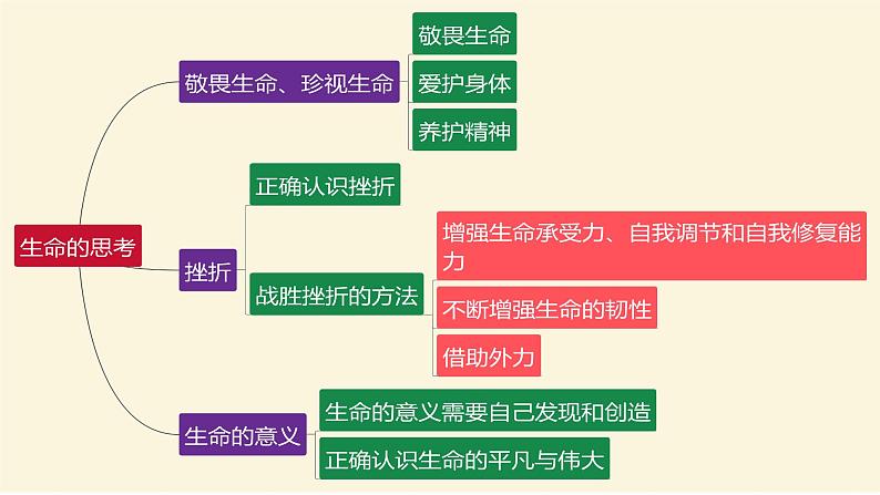 2022年人教部编版中考道德与法治一轮复习专题02 师长情谊、生命的思考课件PPT第5页