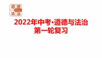 2022年人教部编版中考道德与法治一轮复习专题15 和谐与梦想课件PPT