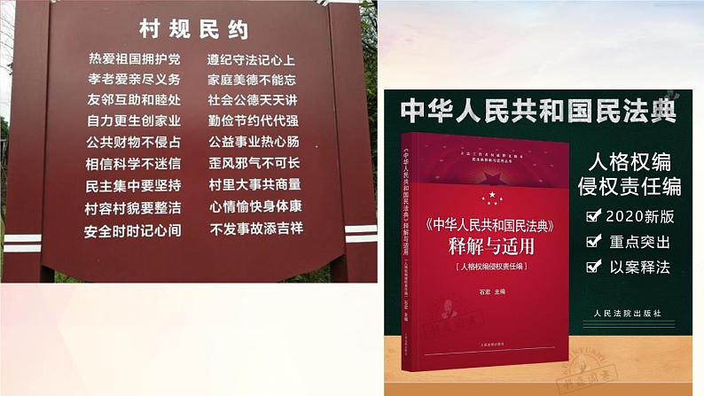 2021-2022学年部编版道德与法治七年级下册 9.2 法律保障生活课件（21张PPT）第5页