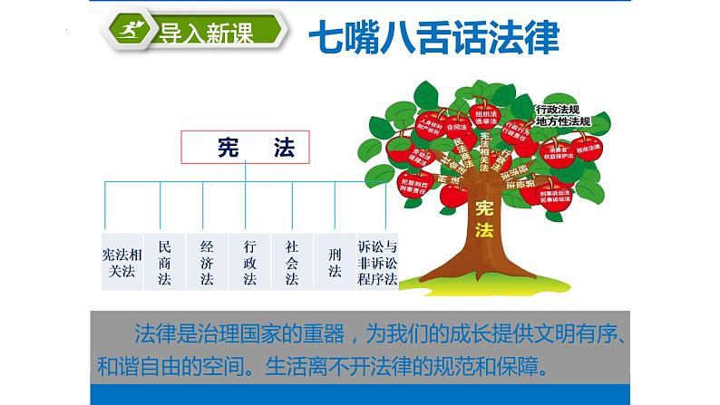 9.1生活需要法律课件2021-2022学年部编版道德与法治七年级下册第3页