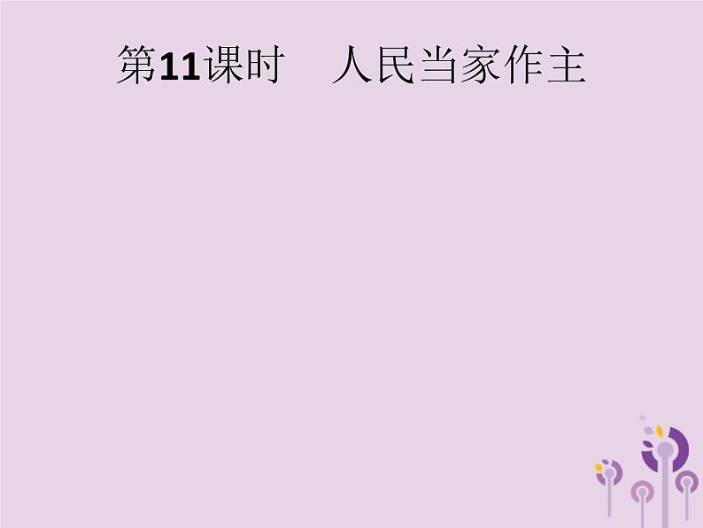 中考道德与法治总复习优化设计第一板块基础知识过关第11课时人民当家作主课件01