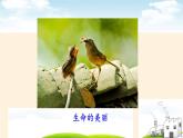 部编版道德与法治七年级上册 1 0.1   感受生命的意义(1)（课件）