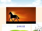 部编版道德与法治七年级上册 1 0.1   感受生命的意义(1)（课件）