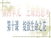 部编版道德与法治七年级上册 1 0.1  感受生命的意义2（课件）