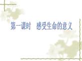 部编版道德与法治七年级上册 1 0.1  感受生命的意义2（课件）