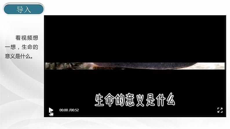 部编版道德与法治七年级上册 1 0.1  感受生命的意义(3)（课件）第3页