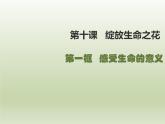 部编版道德与法治七年级上册 1 0.1  感受生命的意义（课件）