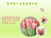 部编版道德与法治七年级上册 1 0.1  感受生命的意义（课件）